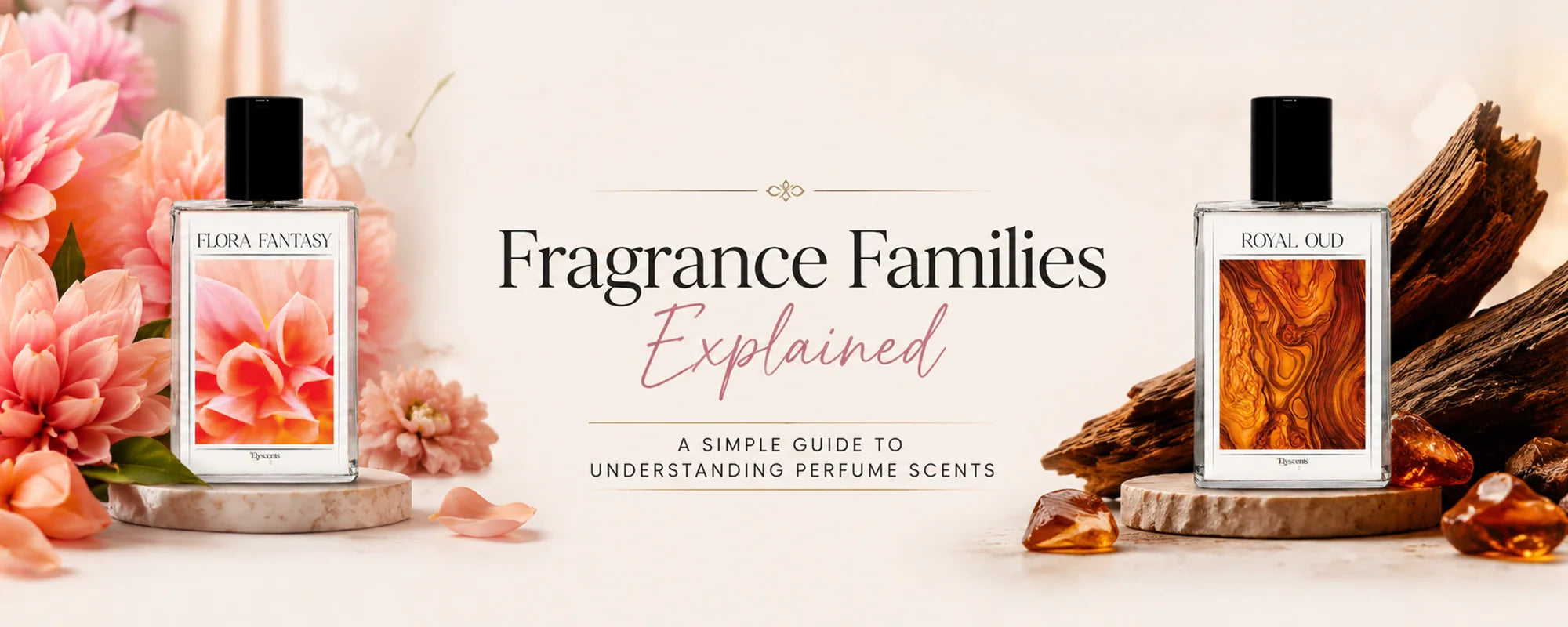 Fragrance Families Explained: A Simple Guide to Understanding Perfume Scents