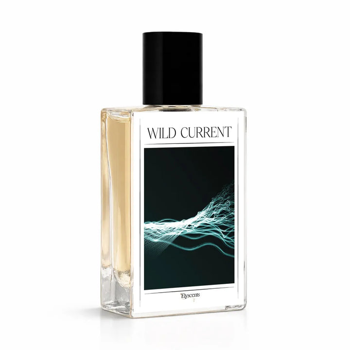 elyscents_wild_current_perfume_for_men.webp
