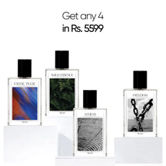 4x Perfume Bundle