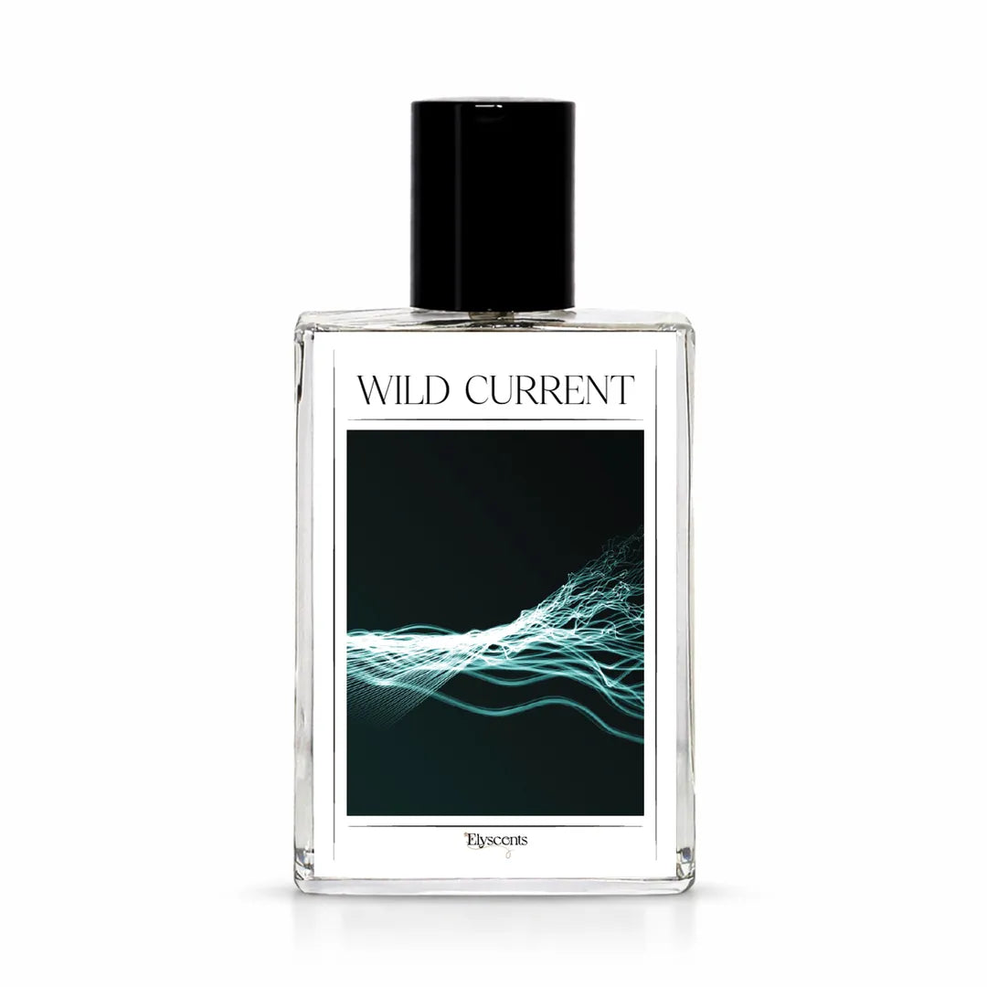 elyscents_wild_current_perfume_for_men.webp