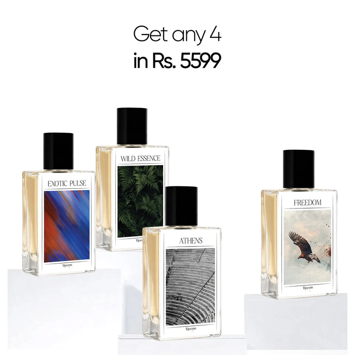 4x Perfume Bundle