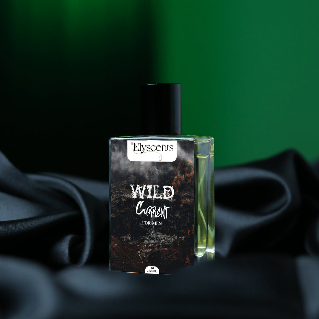 Wild Current - INSPIRED BY Aqua Di Gio Armani